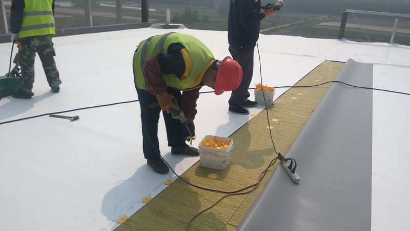 单组分聚氨酯防水涂料：揭秘其每公斤报价背后的因素**